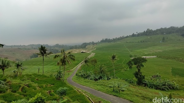 Dari ketinggian 565 mdpl pengunjung bisa melihat view gunung Gunung Ciremai. (Bima Bagaskara/detikcom) Dari ketinggian 565 mdpl pengunjung bisa melihat view gunung Gunung Ciremai. (Bima Bagaskara/detikcom)
