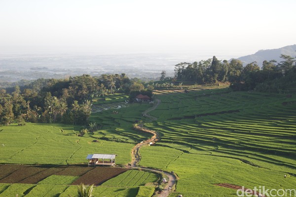 Ciboer Pass juga sering dijadikan tempat prawedding karena pemandangannya yang sangat indah itu. (Bima Bagaskara/detikcom) Ciboer Pass juga sering dijadikan tempat prawedding karena pemandangannya yang sangat indah itu. (Bima Bagaskara/detikcom)