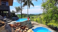 View sawahnya tetap jadi suguhan utama. (Bima Bagaskara/detikcom)