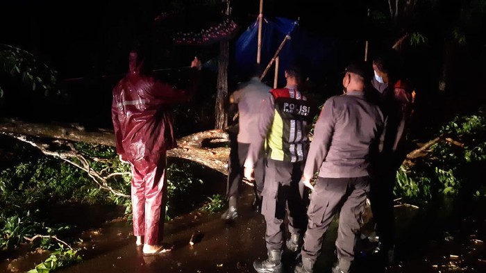 Hujan deras disertai angin kencang menyebabkan puluhan rumah tiga kecamatan di Kabupaten Sumenep rusak. Sejumlah pohon dan tiang listrik juga roboh dan aliran listrik padam.