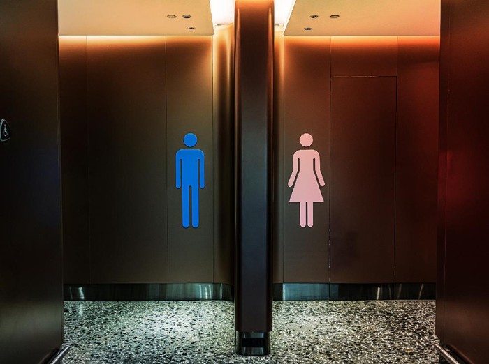 Ilustrasi toilet