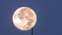 Menurut Pusat Edukasi Sains Antariksa LAPAN, secara tradisional, bulan purnama di bulan Februari 2021 disebut juga Bulan Purnama Salju (Bulan Salju Penuh) karena di belahan utara Bumi, hujan salju turun di sisa musim dingin. ANTARA FOTO/Yulius Satria Wijaya.