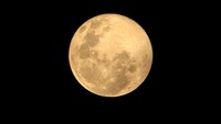 Bulan Purnama Salju atau super snow moon juga terlihat di Desa Alue Raya, Kecamatan Samatiga, Aceh Barat, Minggu (28/2/2021). ANTARA FOTO/Syifa Yulinnas.