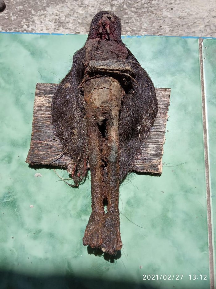 Pemampakan jenglot yang ditemukan di makam Ki Buyut Akasah