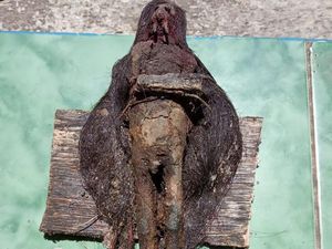 Heboh Temuan Jenglot Bertaring-Berambut Panjang di Makam Keramat Kudus
