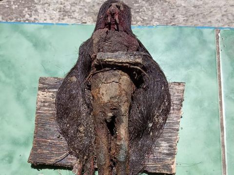 Pemampakan jenglot yang ditemukan di makam Ki Buyut Akasah