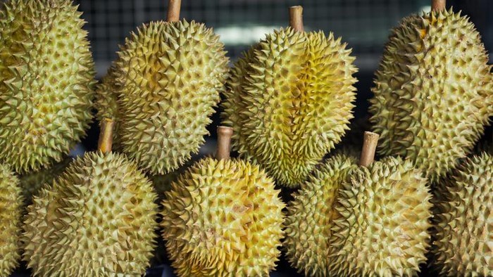 china impor durian dari thailand