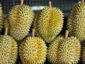 DPR Soroti Maraknya Durian Ilegal Malaysia, Rugikan Petani Lokal