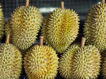 RI Impor Durian dari Malaysia & Thailand, Ini Datanya