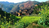Desa ini dikenal dengan nama Teras Sawah Longji.  (Getty Images/iStockphoto)