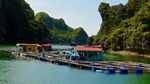 Foto: Desa Terapung Tersembunyi di Balik Ha Long Bay