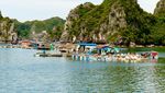 Foto: Desa Terapung Tersembunyi di Balik Ha Long Bay