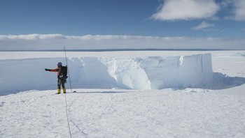 Tim peneliti Inggris ketika mengamatinya dari dekat. Foto: British Antartic Survey