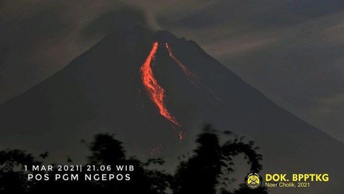 Gunung Merapi erupsi malam ini dengan mengeluarkan awan panas sejauh 1,5 km, Senin (1/3/2021).