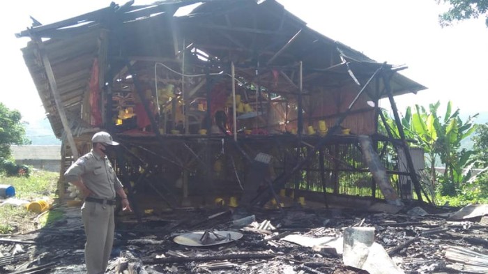 Kebakaran Kandang Ayam di Sukabumi