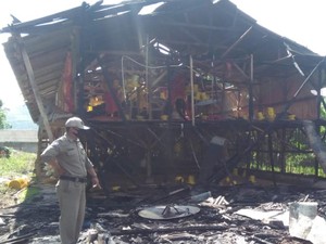 Kandang Peternak Terbakar di Sukabumi, 600 Ayam Mati Terpanggang