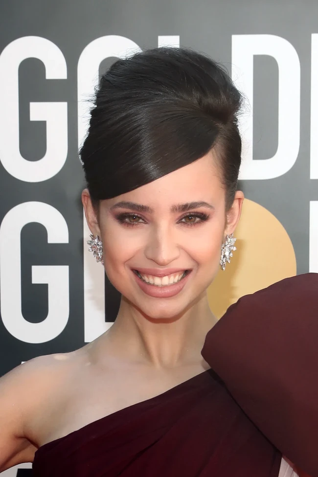 Sofia Carson tampil elegan dengan rambut yang dicepol tinggi. Bintang Descendants itu pun memukau dengan makeup flawlessnya. Foto: Instagram