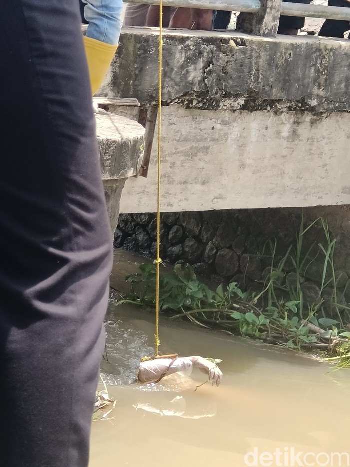 Mayat pria ditemukan mengambang di saluran irigasi Karawang