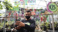 Kebun ini juga menjual berbagai jenis bibit untuk warga yang ingin belajar budidaya anggur di Ibu Kota.