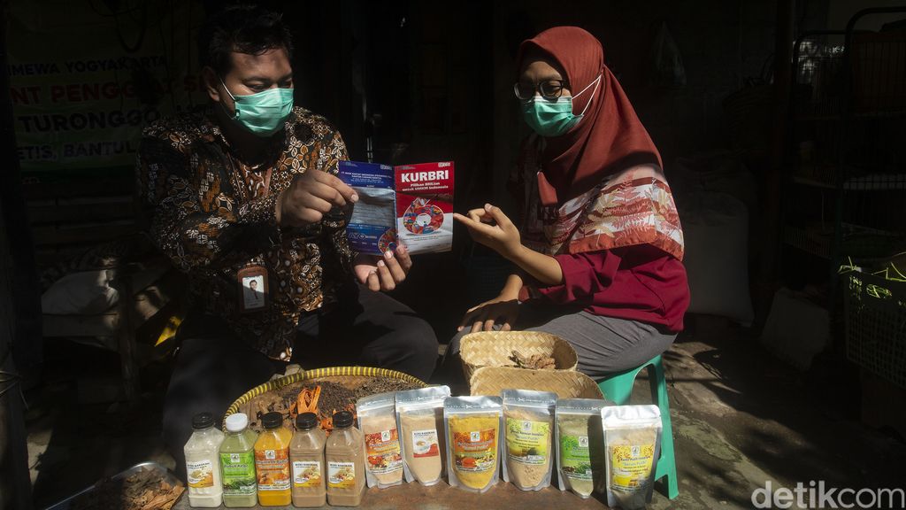 Fryski (28) memetik bahan jamu di Desa Kiringan, Bantul, Selasa (16/2/2021).