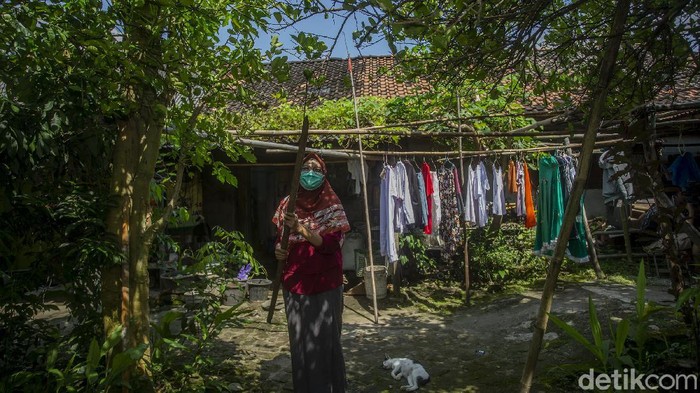 Fryski (28) memetik bahan jamu di Desa Kiringan, Bantul, Selasa (16/2/2021).