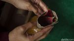 Penjualan Tanaman Hias Masih Menggiurkan