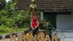 Potret Wanita Tangguh Penjual Jamu di Bantul