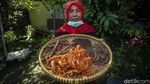 Potret Wanita Tangguh Penjual Jamu di Bantul