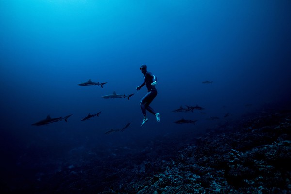 Nery adalah mantan juara dunia dalam olahraga freediving yang tak menggunakan alat selam dan hanya mengandalkan menahan napas. Nery adalah mantan juara dunia dalam olahraga freediving yang tak menggunakan alat selam dan hanya mengandalkan menahan napas.