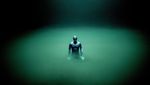 Potret Jagoan Freediving Beraksi dengan Anggun di Bawah Air