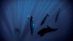 Potret Jagoan Freediving Beraksi dengan Anggun di Bawah Air