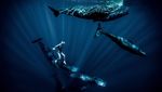 Potret Jagoan Freediving Beraksi dengan Anggun di Bawah Air