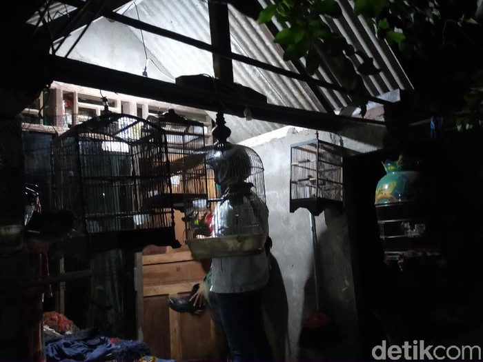 Densus 88 Antiteror kembali menangkap terduga teroris di Surabaya. Kali ini yang ditangkap berinisial N.