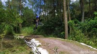 Wisatawan bisa menikmati keindahan alam berupa pohon pinus dan lainnya. Ada pula jalur untuk sepeda downhill. (Eko Susanto/detikcom)