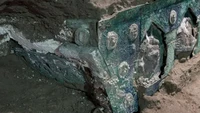 Direktur Taman Arkeologi Pompeii, Massimo Osanna mengatakan kereta itu adalah yang pertama dari jenisnya yang ditemukan. Sebelumnya kereta yang ditemukan hanyalah transportasi biasa.