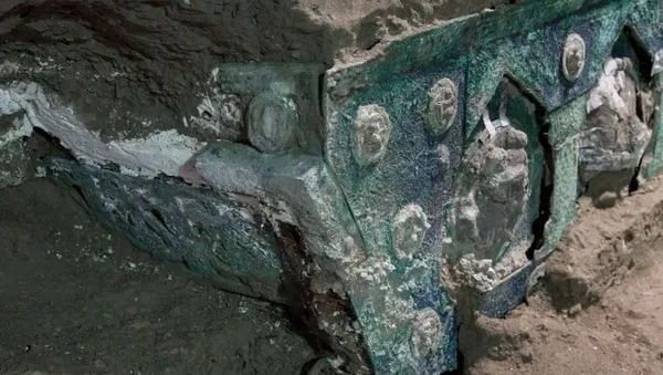 Direktur Taman Arkeologi Pompeii, Massimo Osanna mengatakan kereta itu adalah yang pertama dari jenisnya yang ditemukan. Sebelumnya kereta yang ditemukan hanyalah transportasi biasa. Direktur Taman Arkeologi Pompeii, Massimo Osanna mengatakan kereta itu adalah yang pertama dari jenisnya yang ditemukan. Sebelumnya kereta yang ditemukan hanyalah transportasi biasa.