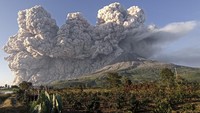 Gunung Sinabung juga mengalami 13 kali awan panas luncuran. Ada 40 desa yang terdampak hujan abu vulkanik. ANTARA FOTO/Sastrawan Ginting  