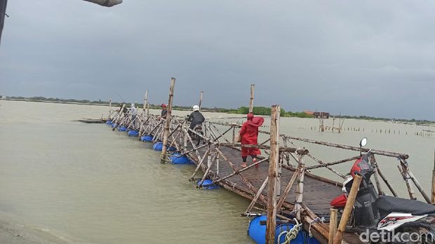 Jalan keluar masuk satu-satunya ke Dukuh Mondoliko, Desa Bedono, Kabupaten Demak, Jawa Tengah,yang langganan terendam banjir rob, Selasa (2/3/2021).