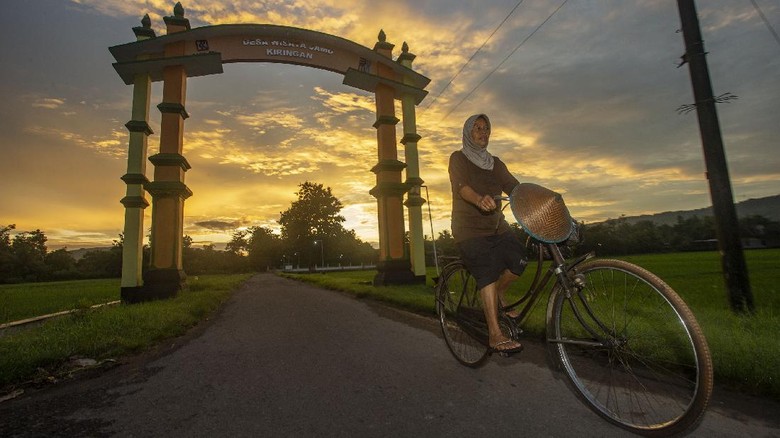 Kampung Jamu di Bantul Kampung Jamu di Bantul