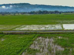 Rekomendasi 5 Desa Wisata di Bantul, Dijamin Tambah Ilmu dan Hiburan