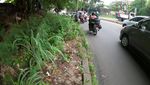 Parah! Trotoar di Perbatasan Tangsel-DKI Ini Dipenuhi Tanaman Liar-Sampah