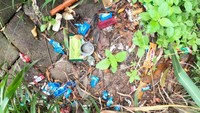 Selain tanaman liar, sampah-sampah juga dibuang sembarangan di trotoar. Demikian juga ada baliho yang terpasang. (Foto: Andhika Prasetia-detikcom)