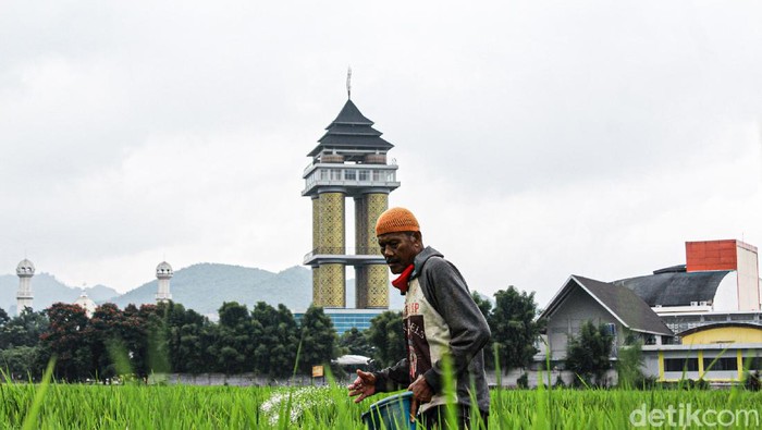 Lahan Pertanian di Kabupaten Bandung