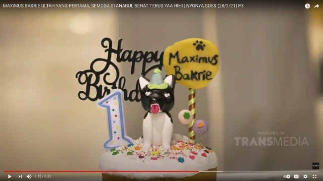 Pesta perayaan ulang tahun pertama anjing dari Nia Ramadhani itu dihias dengan dekorasi ulang tahun yang cukup meriah. Bahkan Nia juga telah menyiapkan kue ulang tahun khusus untuk anjingnya itu. Foto: Youtube/Trans TV Official