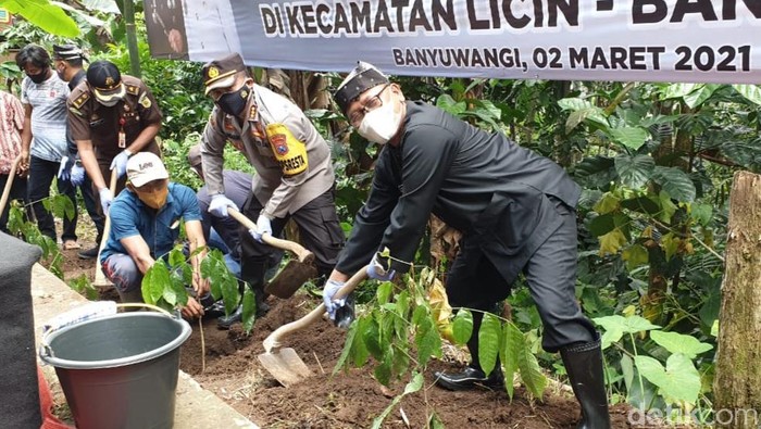 penanaman 1000 pohon