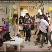 Nia juga pernah mengatakan bahwa hubungan antara dirinya dan Maxie sangat dekat. Bahkan menurutnya, Maxie lah yang paling mengetahui dirinya. Hal itu dikarenakan Nia lah yang sering mengurus Maxie. Tak hanya itu saja, Nia juga sering curhat dengan anjing kesayangannya itu. Foto: dok. tangkapan layar Youtube/Trans TV Official