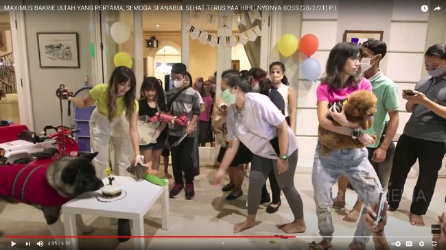 Nia juga pernah mengatakan bahwa hubungan antara dirinya dan Maxie sangat dekat. Bahkan menurutnya, Maxie lah yang paling mengetahui dirinya. Hal itu dikarenakan Nia lah yang sering mengurus Maxie. Tak hanya itu saja, Nia juga sering curhat dengan anjing kesayangannya itu. Foto: dok. tangkapan layar Youtube/Trans TV Official