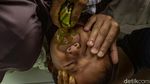 Potret Tradisi Cekok Jamu di Bantul