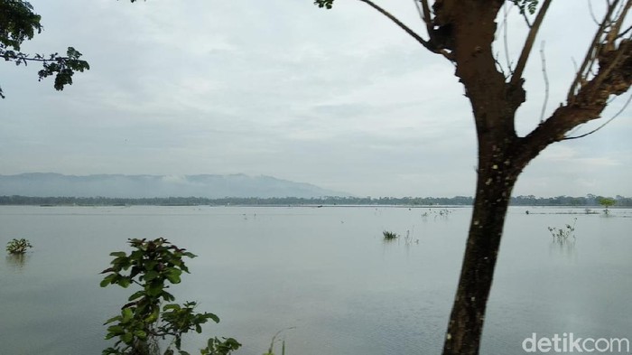 Sawah di Pangandaran Terendam Banjir