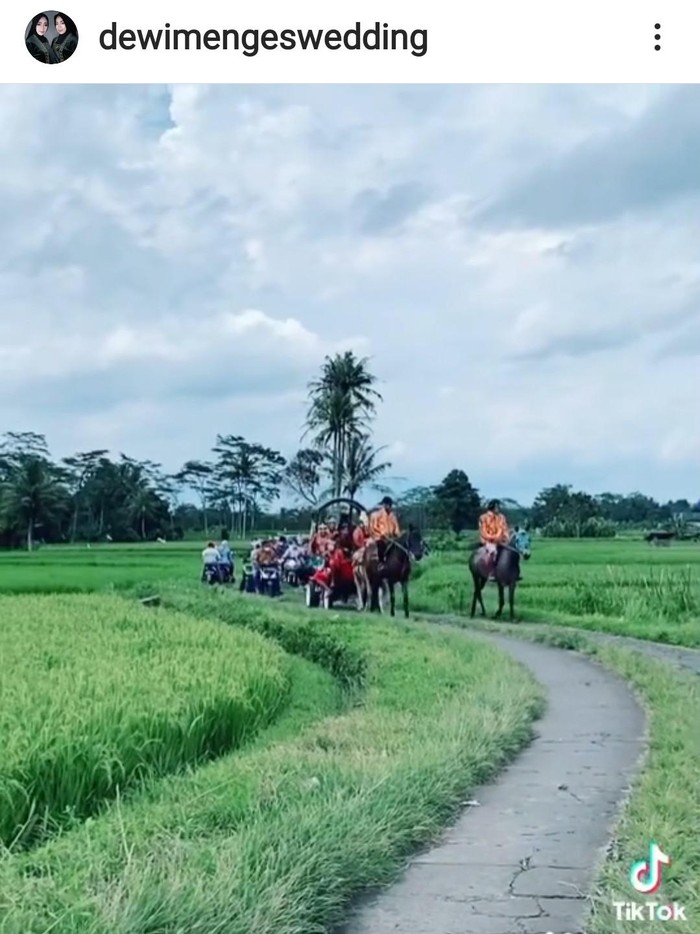 Viral Pengantin Naik Kereta Kuda Melintasi Persawahan di Magelang